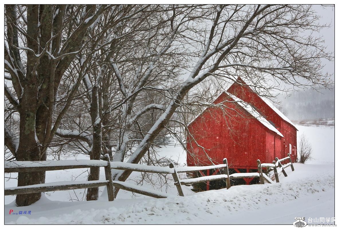 �}�u -2-065-1.jpg