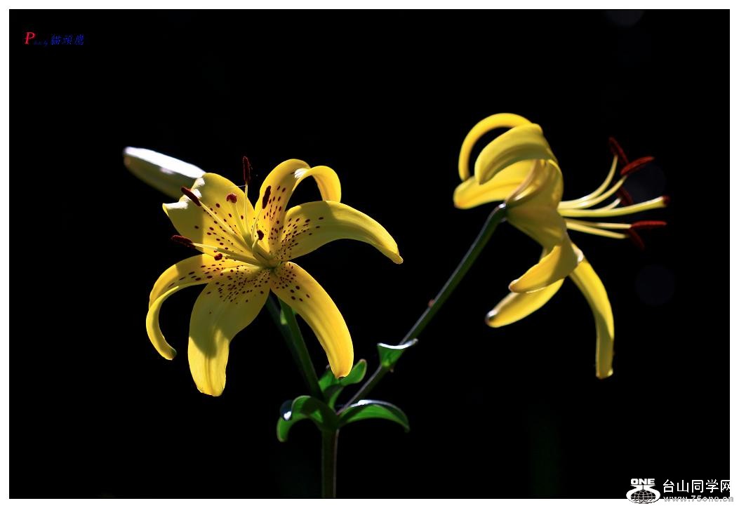 �}�u -23-183-1.jpg