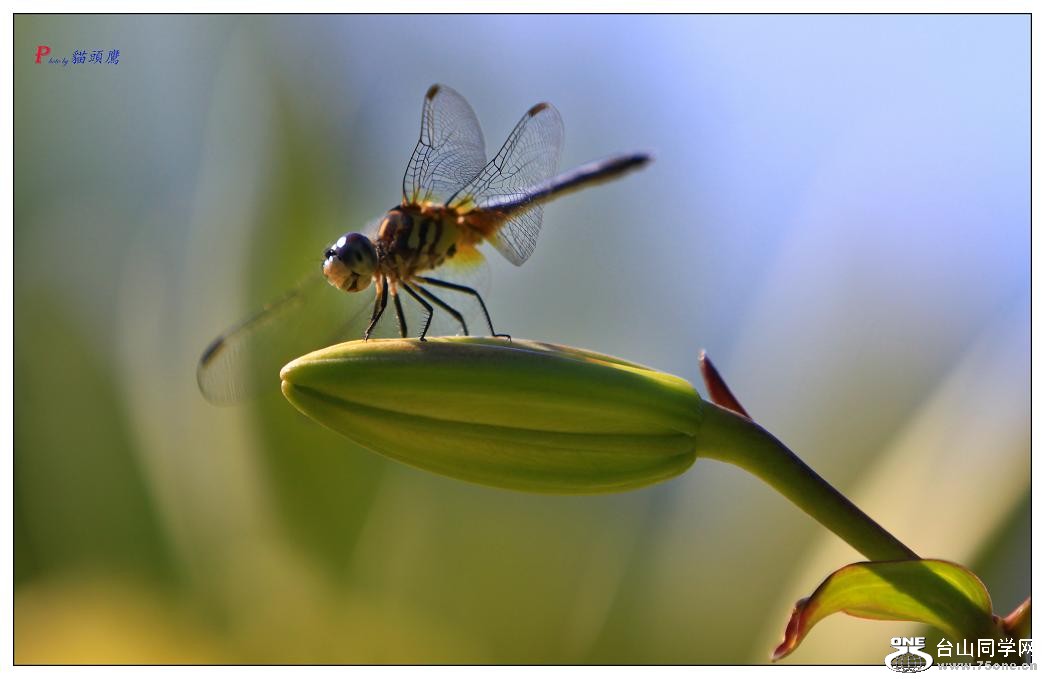 �}�u (2) -24-193-1.jpg