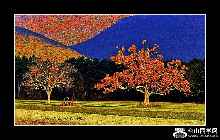 Catskills New York 1.jpg