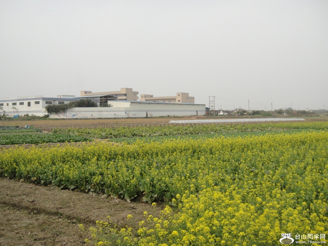 DSC06222.JPG
