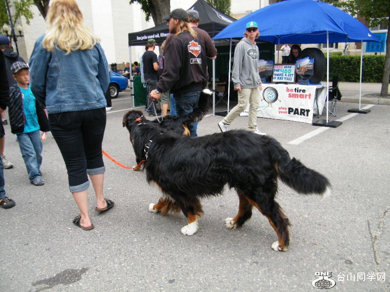 DSCF8658.JPG