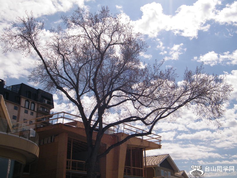 DSCF3991.JPG