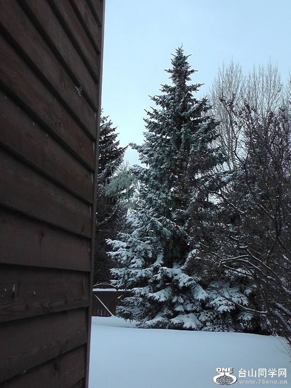 H3030010.JPG