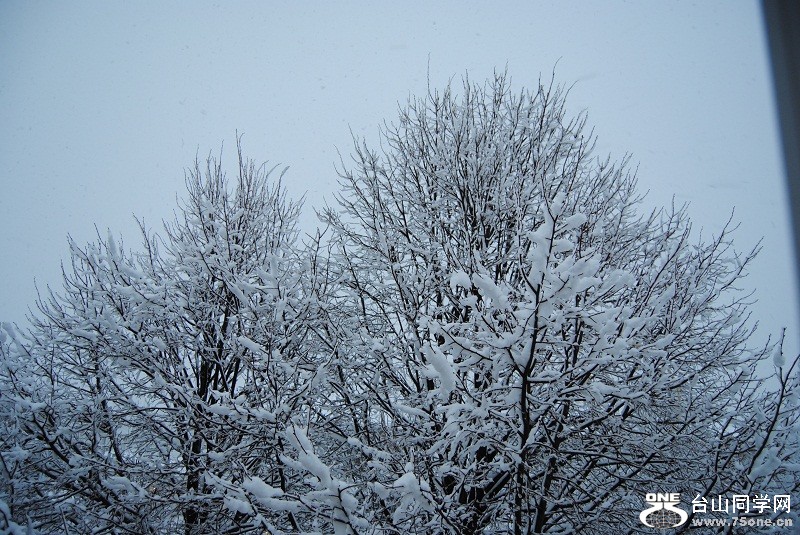 DSC_0258.JPG
