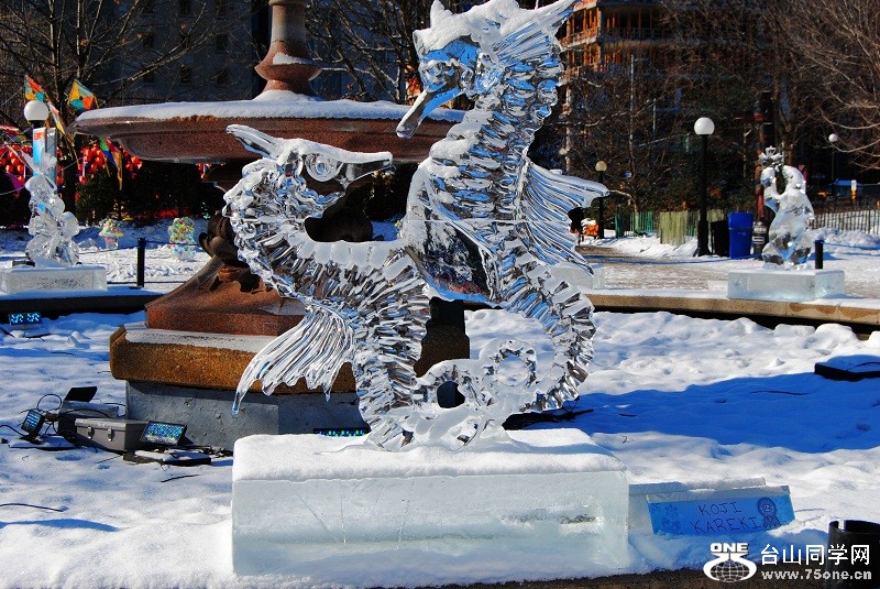 DSC_0129.jpg