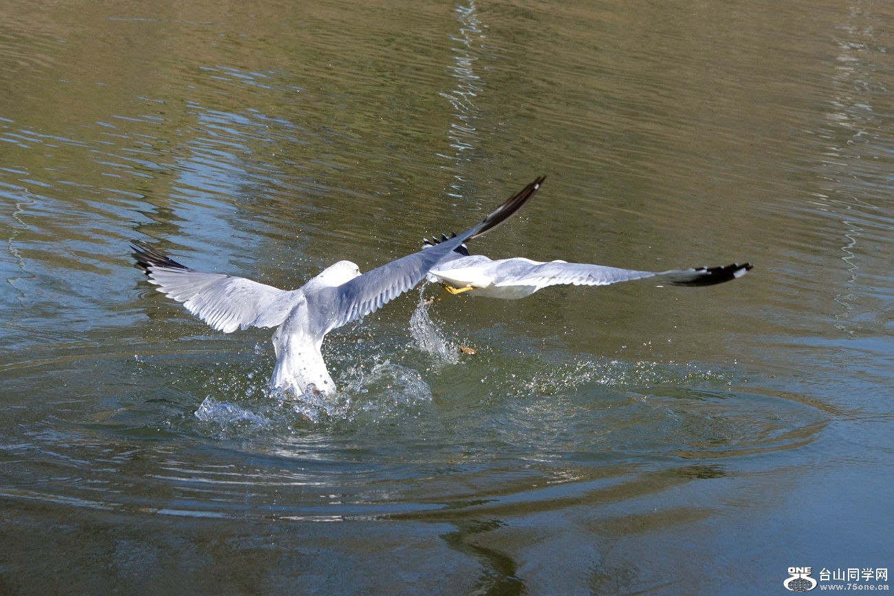 DSC_5353_37.jpg