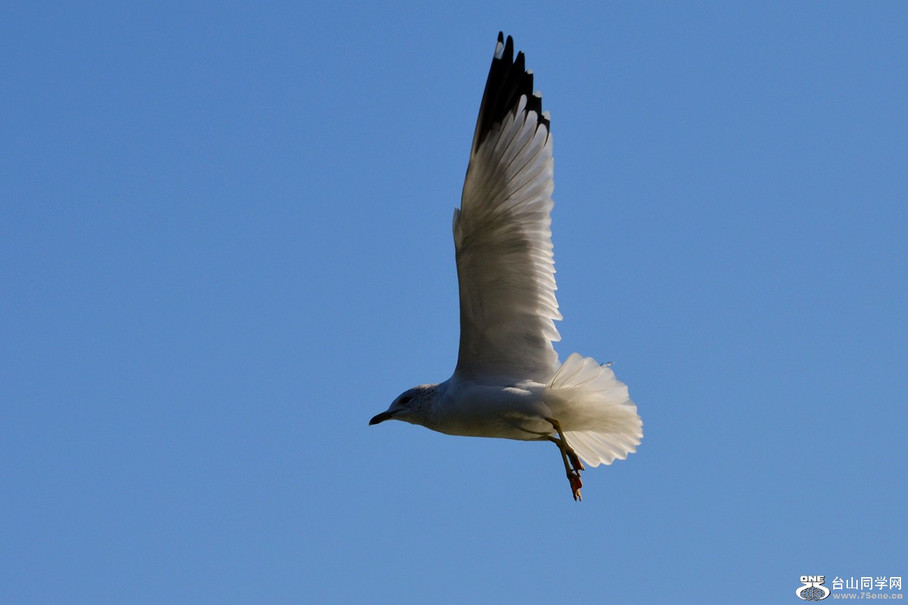 DSC_4918_21.jpg
