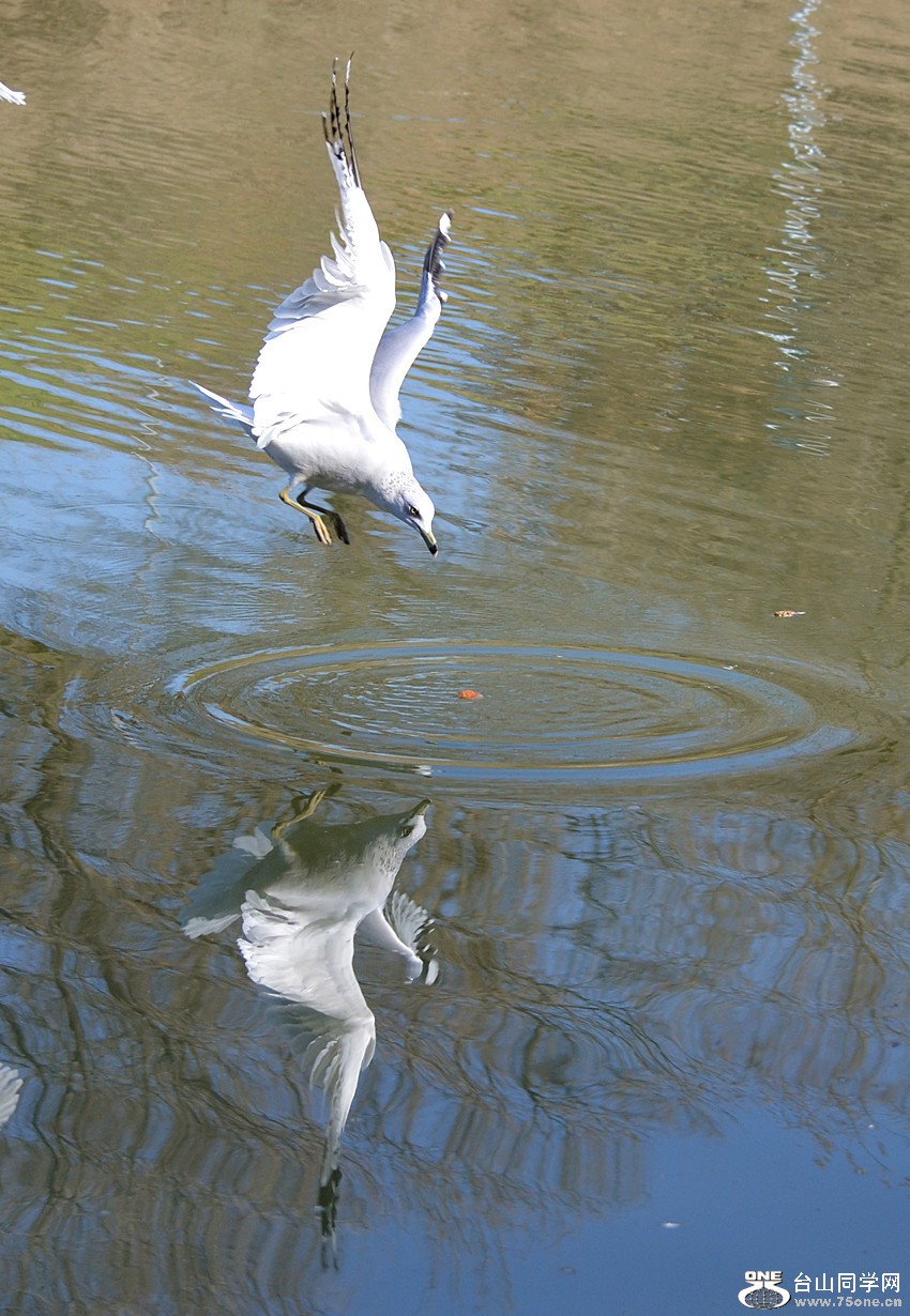 DSC_5347_009.jpg