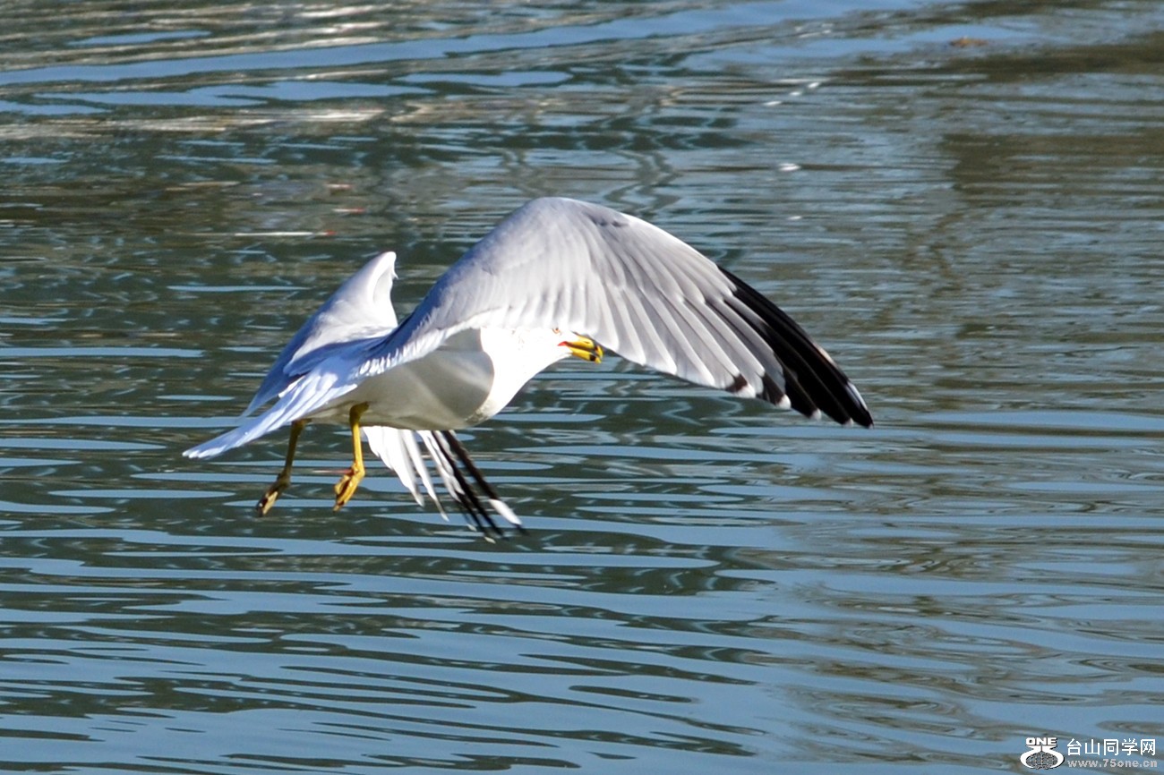 DSC_5409_4.jpg