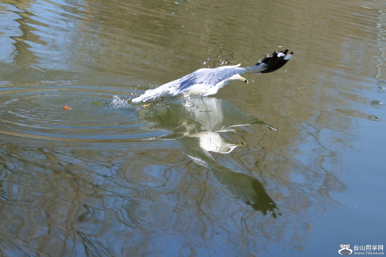 DSC_5348_40.jpg