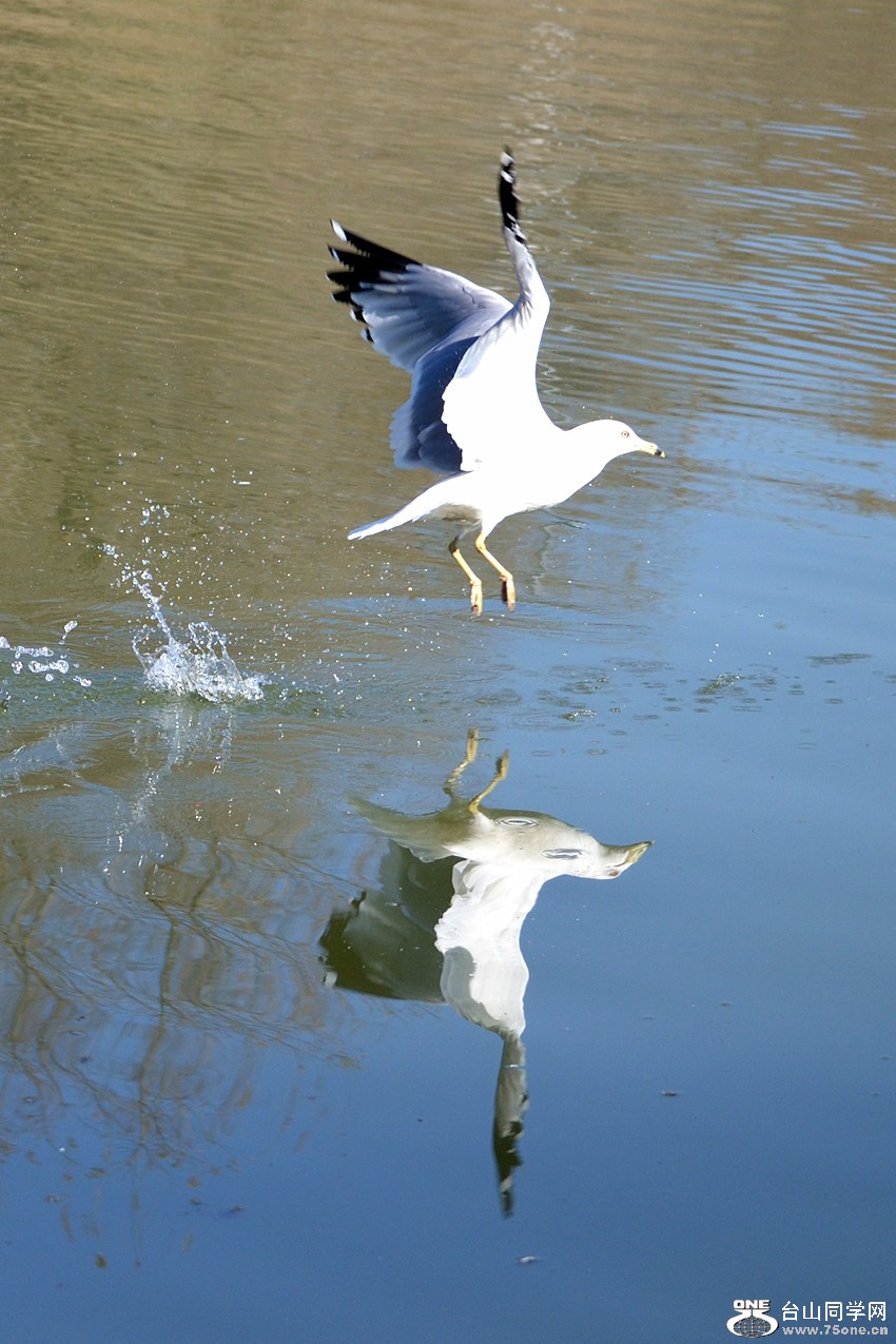 DSC_5349_55.jpg