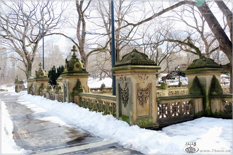 DSCN4430.jpg