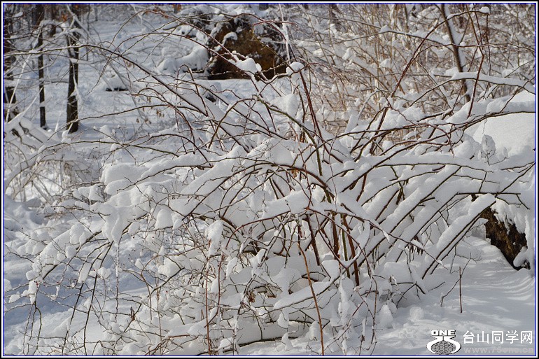 DSC_2002.jpg