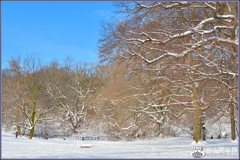 DSC_2020.jpg
