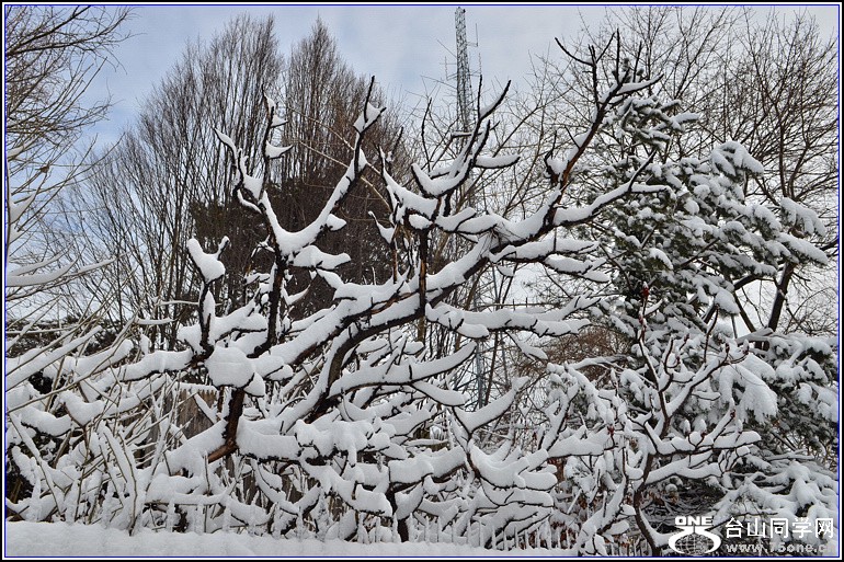 DSC_1922.jpg