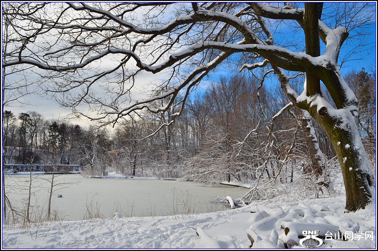 DSC_1999.jpg