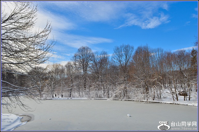 DSC_1994.jpg