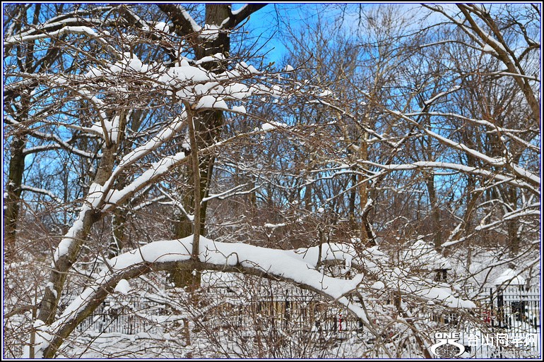 DSC_1957.jpg