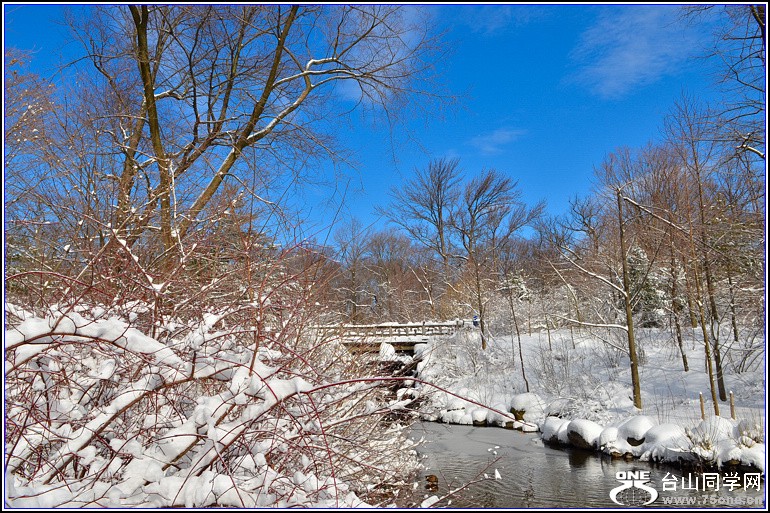 DSC_2009.jpg