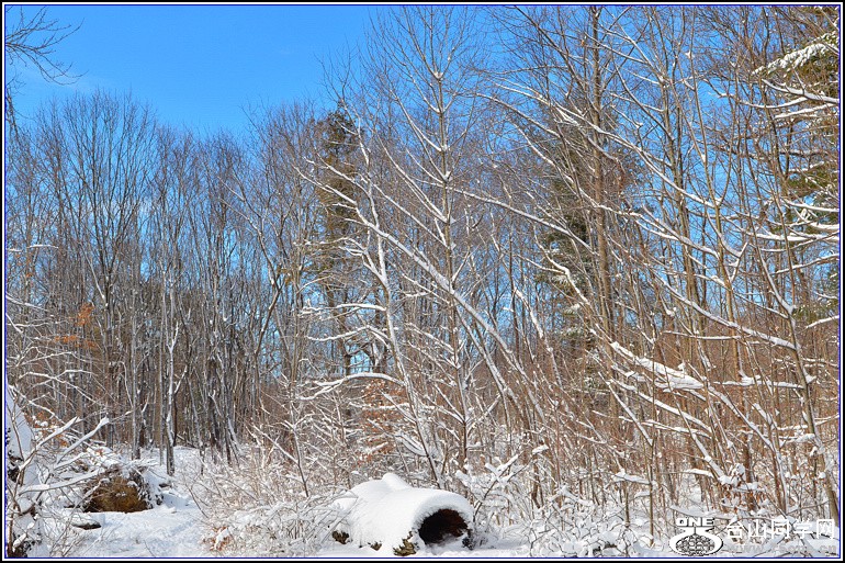 DSC_2000.jpg