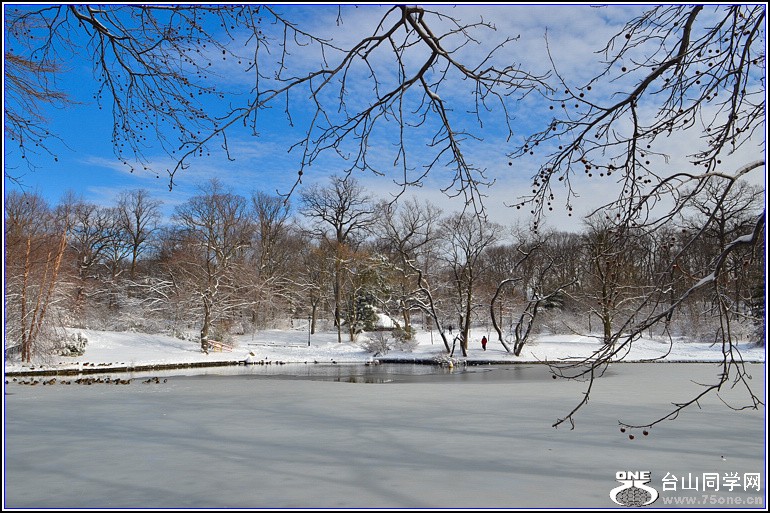 DSC_2004.jpg