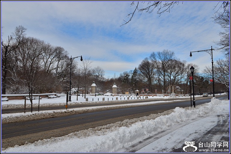 DSC_1919.jpg