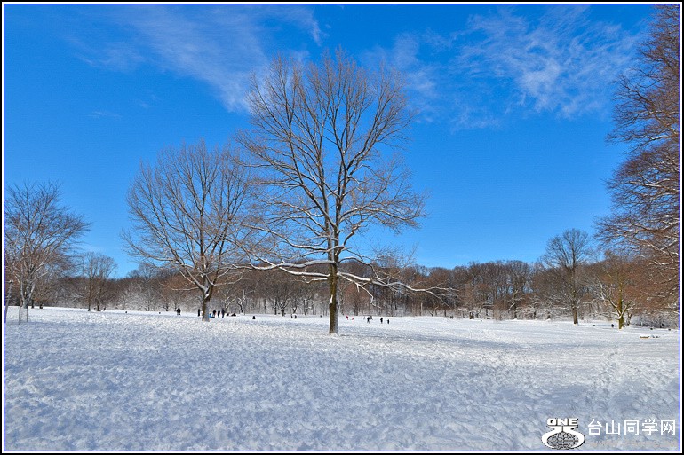 DSC_2015.jpg