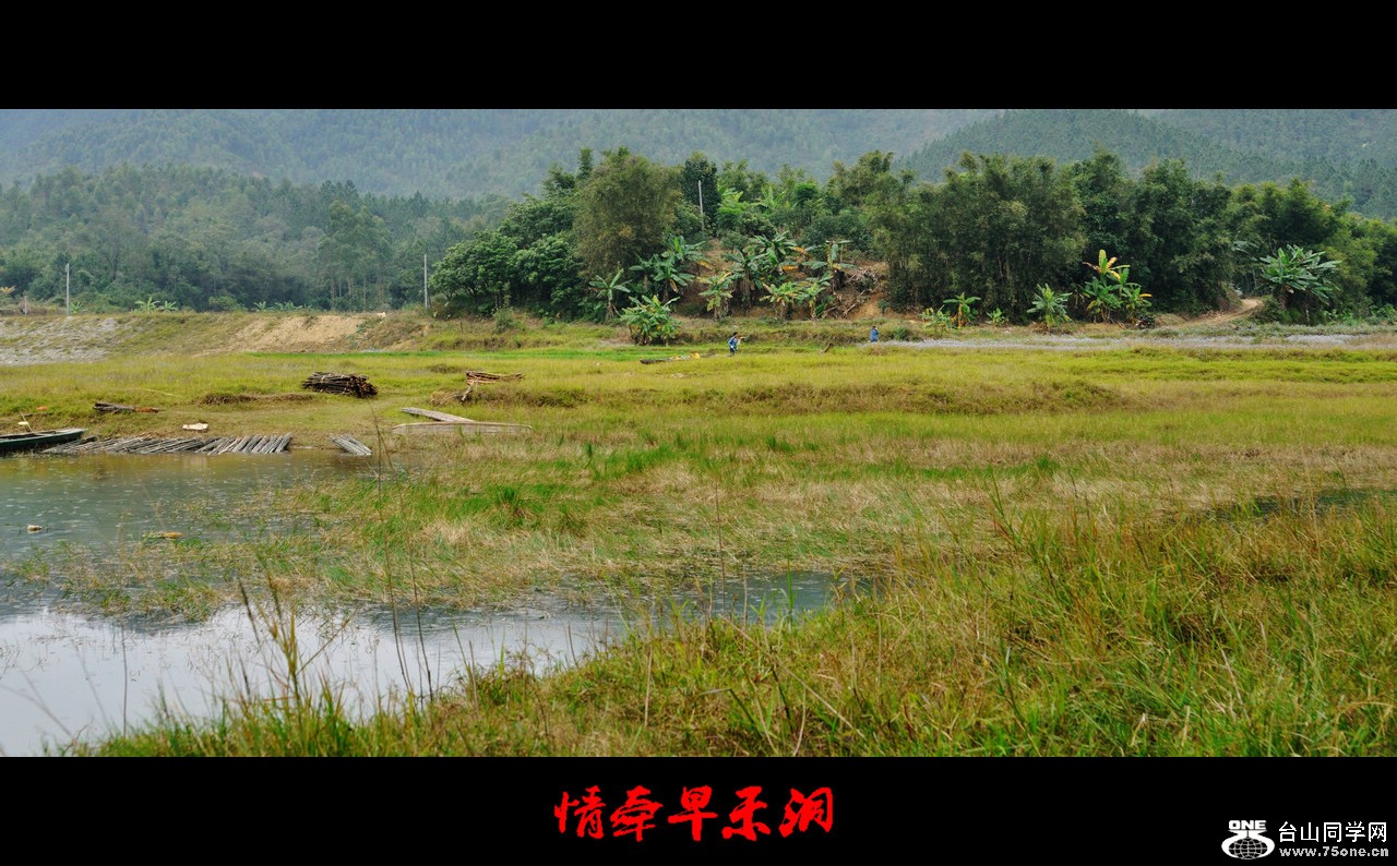 DSC_0175.jpg