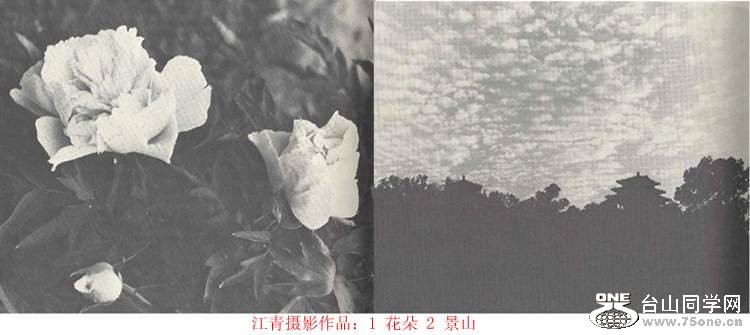 ʮһ6.jpg