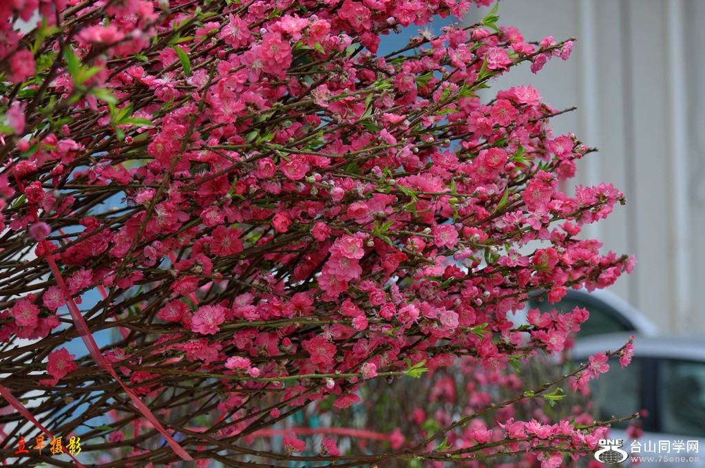 DSC_6123.JPG