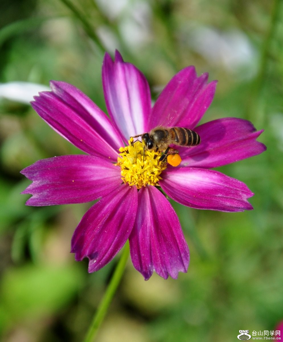 DSC_0049.JPG
