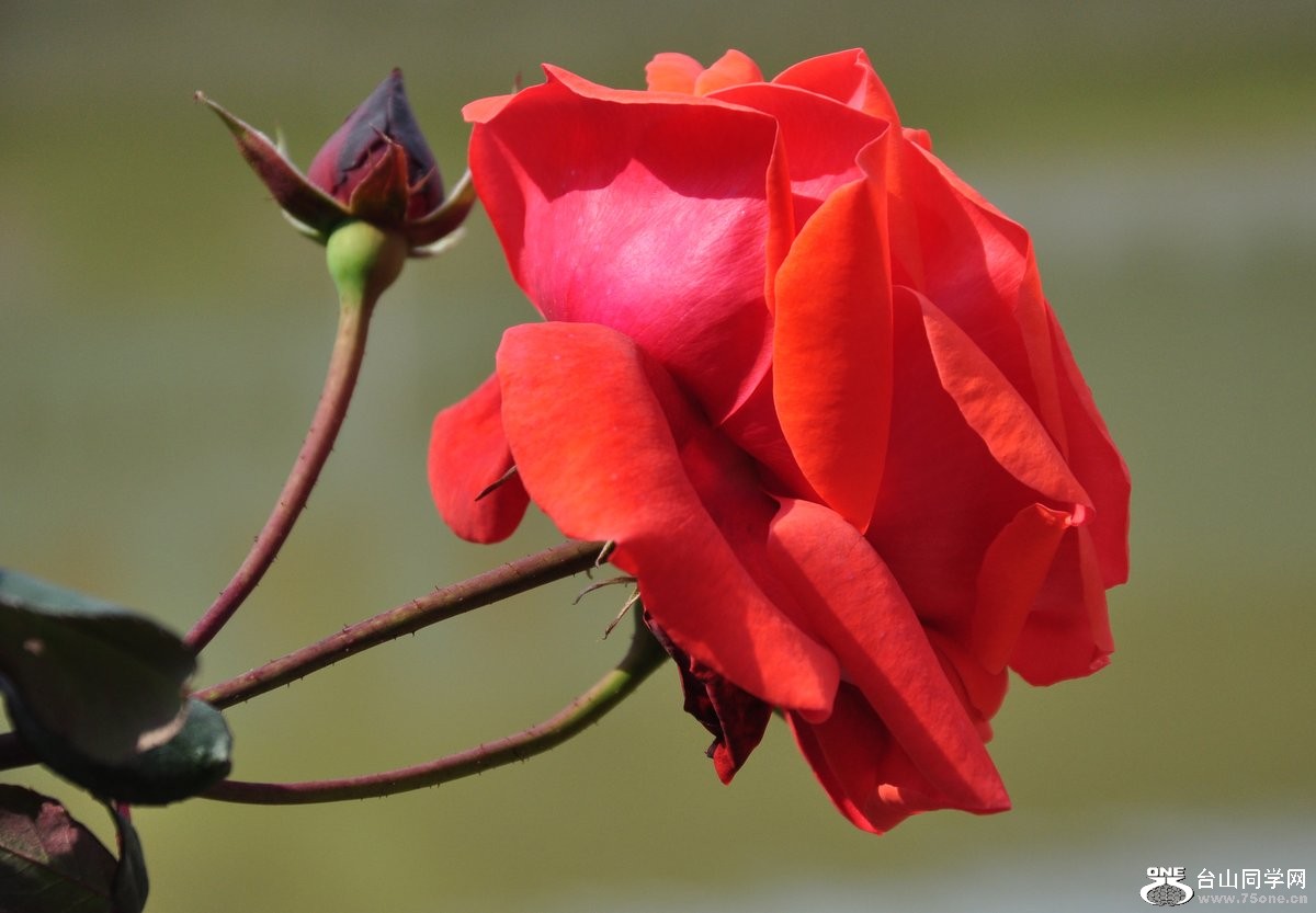 DSC_0028.JPG