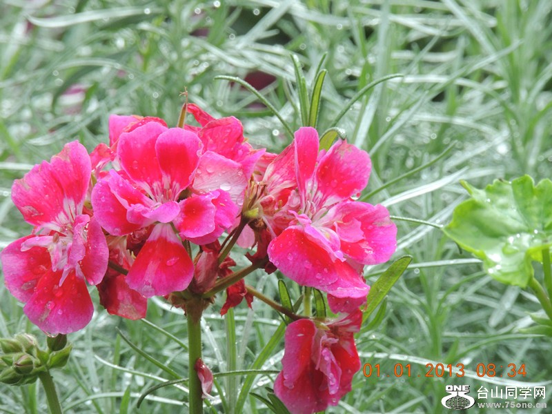2013 vacation 621_.jpg
