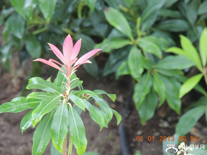 2013 vacation 696_.jpg