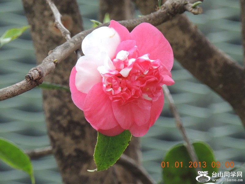 2013 vacation 705_.jpg