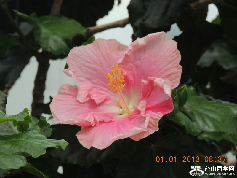 2013 vacation 634_.jpg