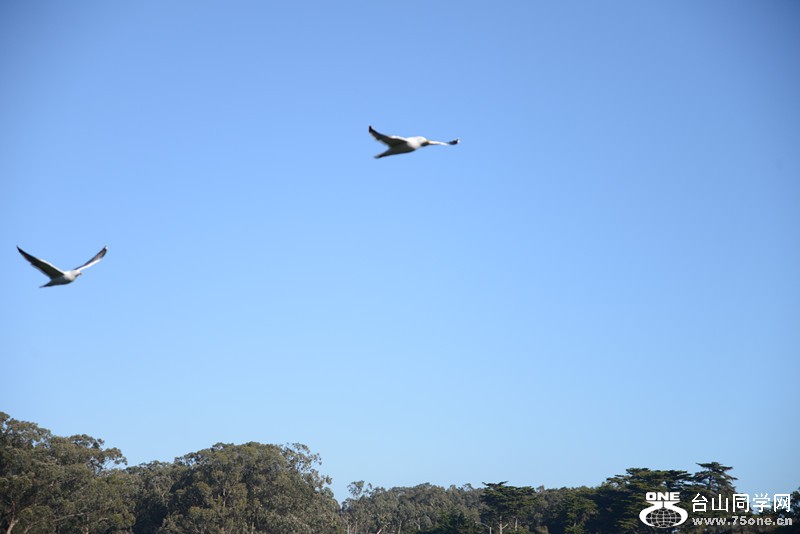 live pictures #3 1080_.jpg