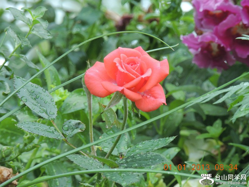 2013 vacation 625_.jpg