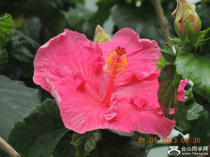 2013 vacation 629_.jpg