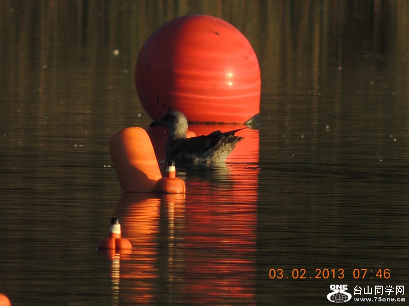 live pictures #3 640_.jpg