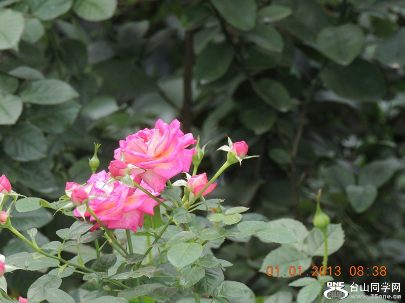 2013 vacation 638_.jpg