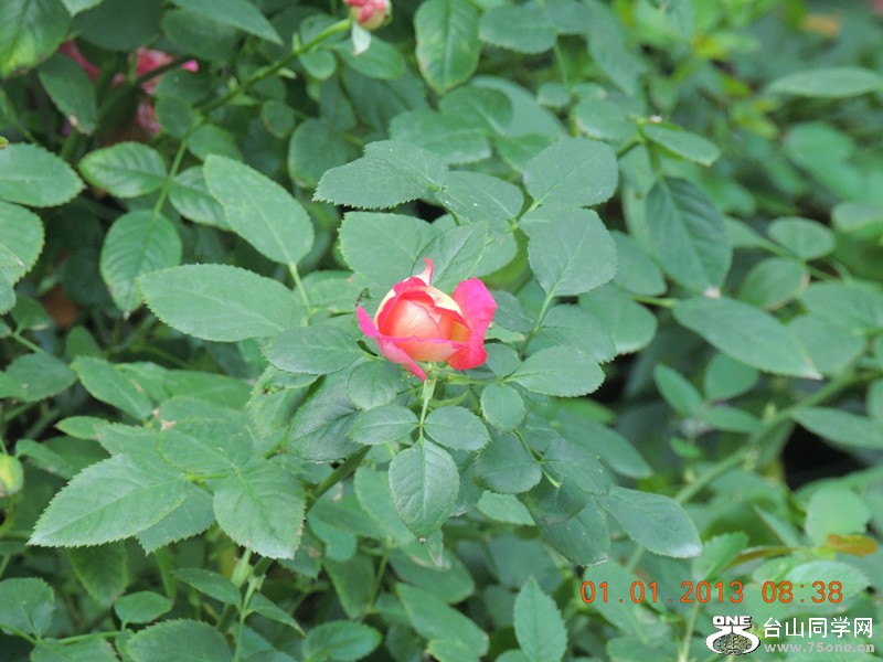 2013 vacation 641_.jpg