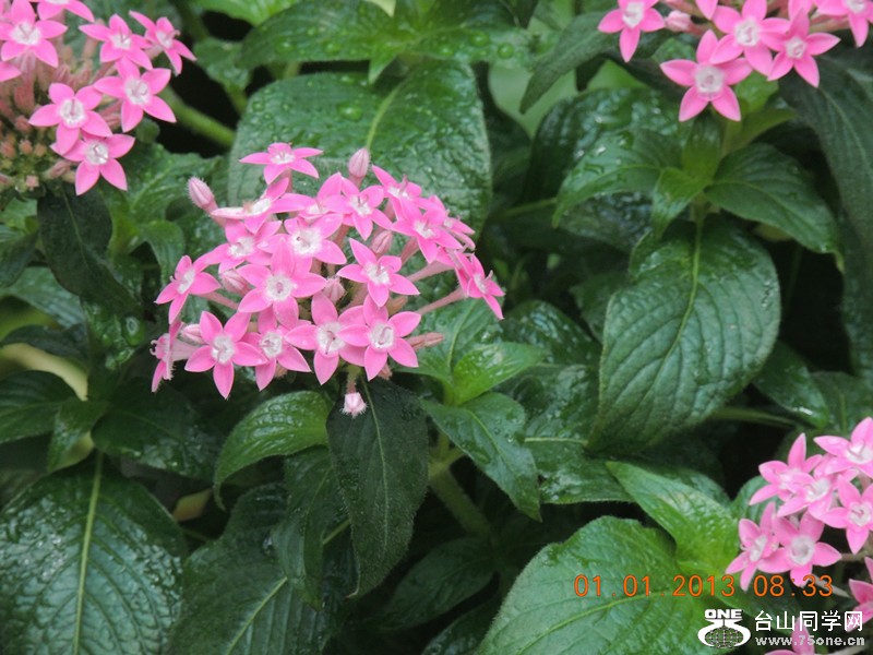 2013 vacation 617_.jpg