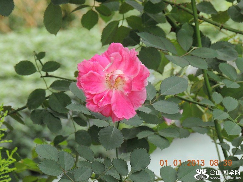2013 vacation 642_.jpg