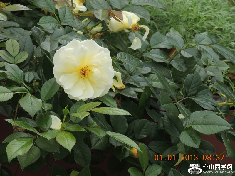 2013 vacation 633_.jpg