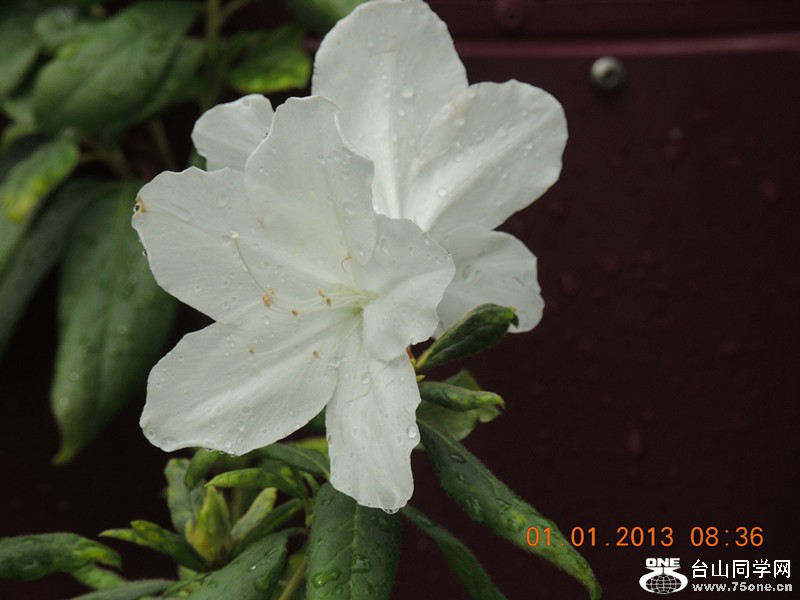 2013 vacation 628_.jpg