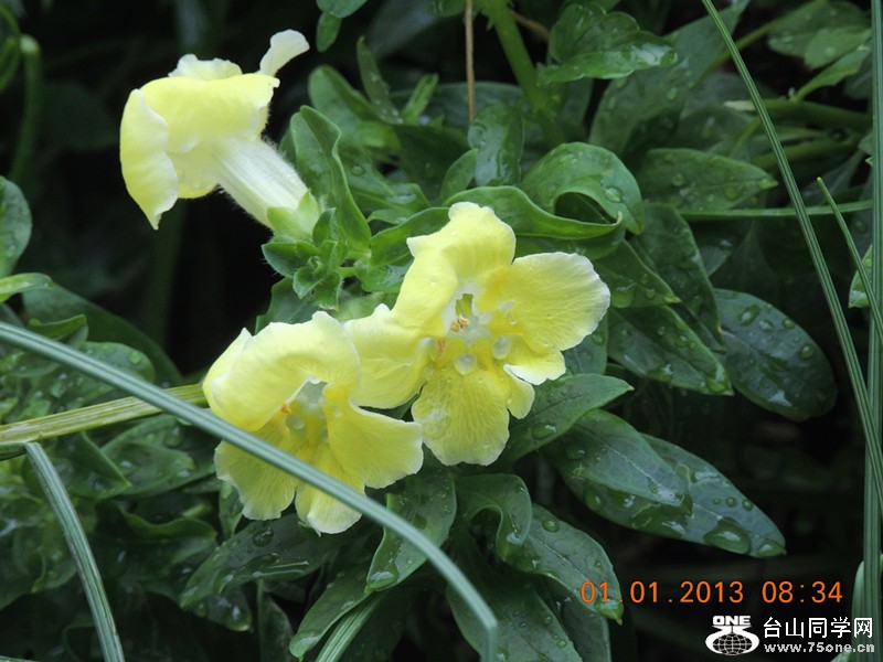 2013 vacation 623_.jpg