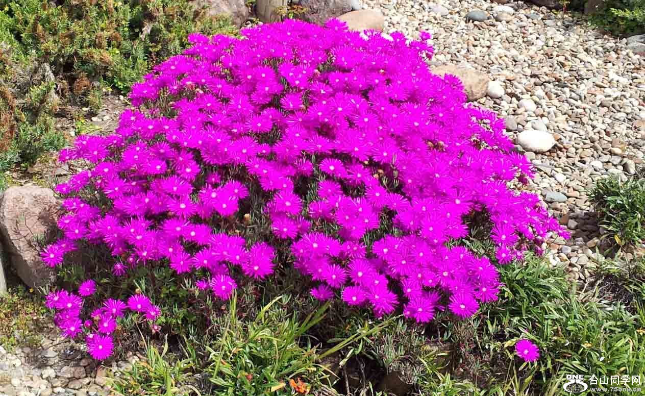 2012-04-08 15.09.jpg