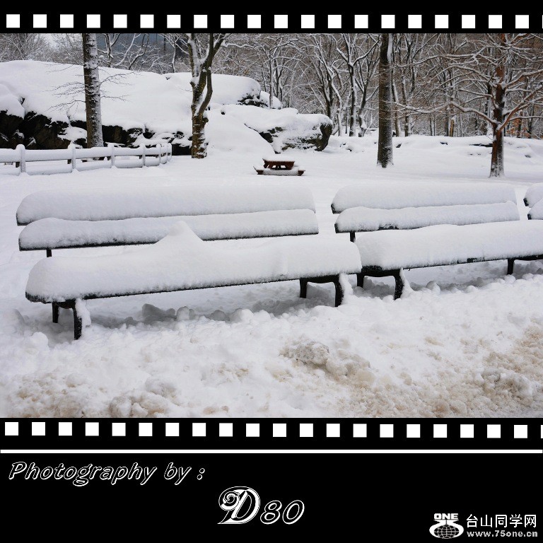 95.jpg